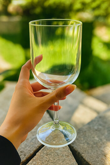 ESİ WOOD ART 1Pc Gastro Wine Glass 400ml Goblet Unbreakable Anti-Scratch Polycarbonate Like Glass Transparent Wine Glass