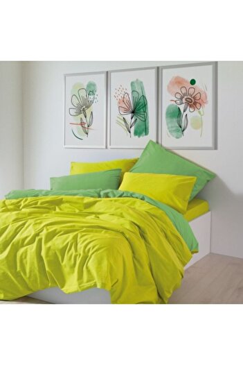 Cozy Home Double Bed Sheet Set Cotton Ranforce, Sage Yellow/Green