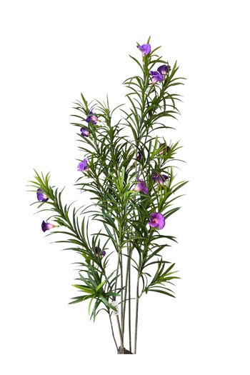Generic Realistic texture artificial Ruylia Mauve tree in a large black pot 1.5m
