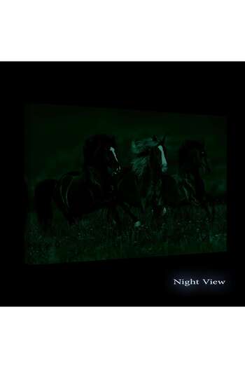 startonight DualView Startonight Galloping Horses Painting, 120 cm x 80 cm