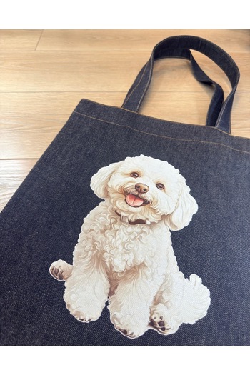 Trend Moda Denim Bag
