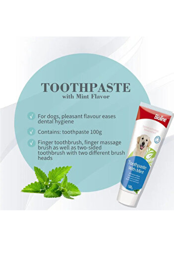 Bioline Bioline Dental Care Set for Pets - 100g Mint Flavor Oral Hygiene Kit