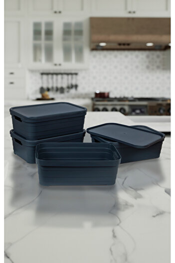 Nesto Home Set of 4 Multi-Purpose Colorful Box with Lid Office Organizer 4X8.2 Liters