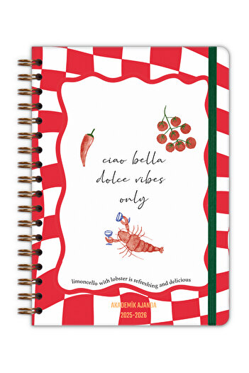 Matt Notebook 2025-2026 B5 Akademik Ajanda Spiralli 17x24 cm - 17 Aylık
