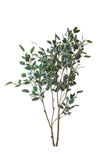 Generic 1.5m artificial ficus tree