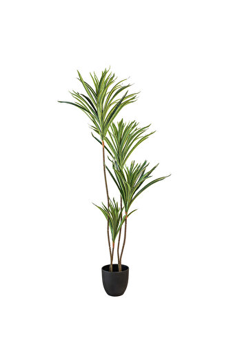 Generic شجر يوكا صناعي 1.3 متر