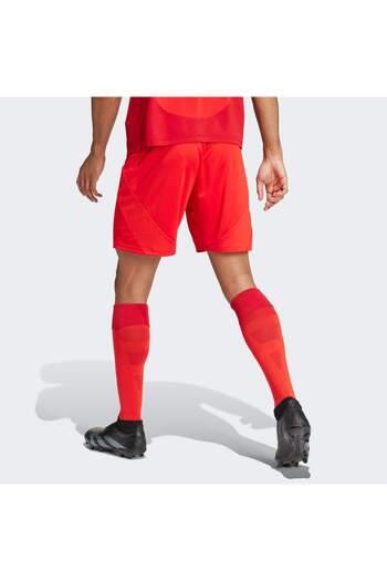 adidas FC Bayern 24/25 İç Saha Şortu