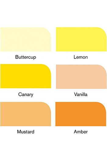Winsor Newton Promarker 6'lı Yellow Tones