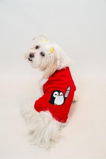 Buddy Store Cat & Dog Clothing Clothes - Printed Red Undershirt (Combed 100% Cotton)
