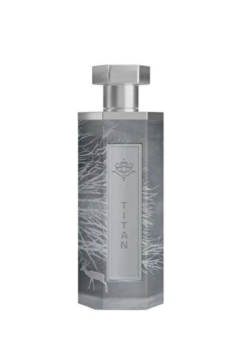 Reef Titan Perfume by Reef Eau de Parfum