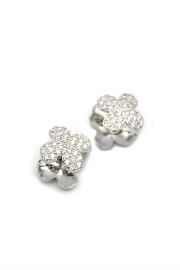 Royaleks Stone vc earrings - silver color