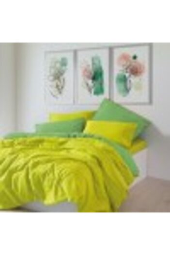 Cozy Home Double Bed Sheet Set Cotton Ranforce, Sage Yellow/Green