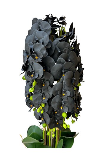 Generic Artificial black orchid