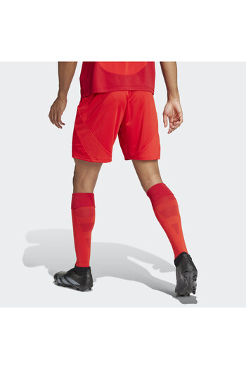 adidas FC Bayern 24/25 İç Saha Şortu
