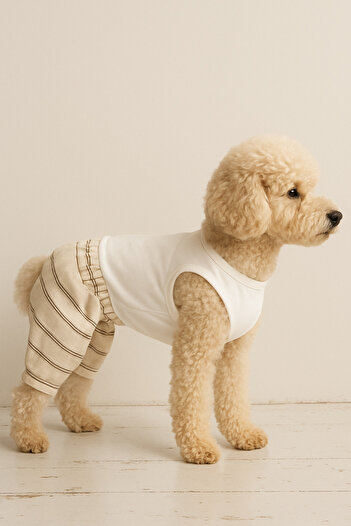 Buddy Store Cat & Dog Outfit Clothes Apparel - Shorts T-Shirt Set Dont You Know I'M Awesome Printed