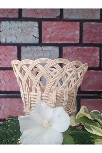 SBK Concept Rattan Bamboo Fruit Presentation Basket