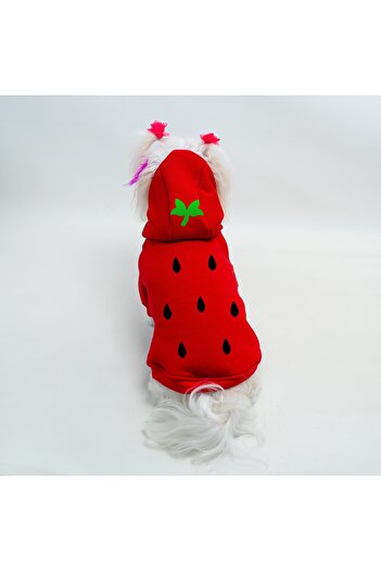 Buddy Store Cat & Dog Outfit Clothes Apparel - Strawberry Printed Red Sweatshirt Hoodie