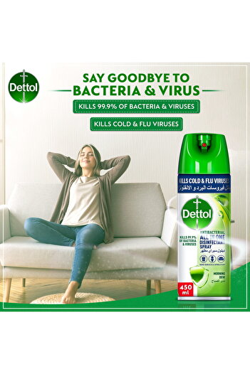 Dettol Morning Dew Antibacterial All in One Disinfectant