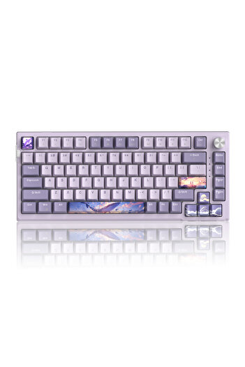 Choice 3Mode Violet Switch MageGee SKY81 75% Mechanical Gaming Keyboard, RGB Gasket Hot Swappable Wired Cus