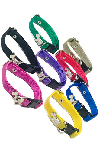 Dino Pet Butik Aksesuar Dog figure neck collar