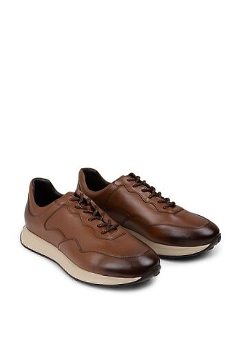 Deery Genuine Leather Tan Color Men's Sneakers