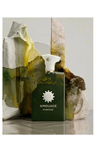 Amouage Purpose Eau de Parfum 100 ml