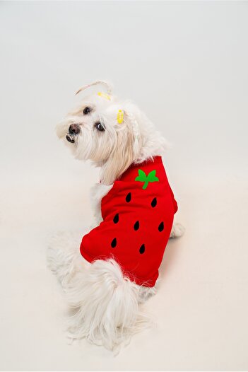 Buddy Store Cat & Dog Outfit Clothes Outfits - Strawberry Printed Red Summer Undershirt