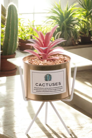 MUKKO HOME Modern Artificial Cactus Pot with Wrought Iron Legs 25 cm |   Maintenance-Free Decorative Flower