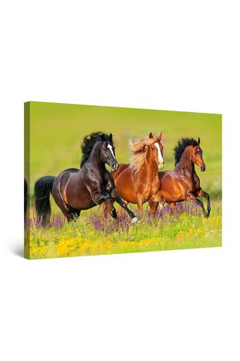 startonight DualView Startonight Galloping Horses Painting, 120 cm x 80 cm