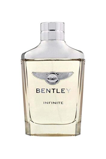 Bentley Infinite perfume 100 ml