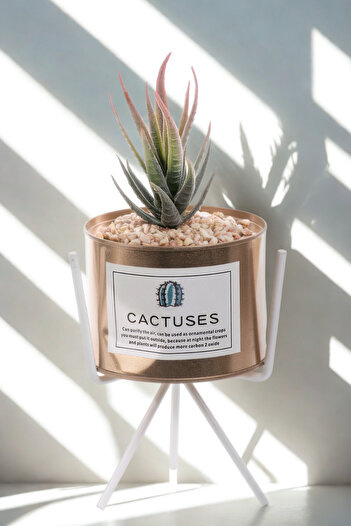 MUKKO HOME Modern Artificial Cactus Pot with Wrought Iron Legs 25 cm |   Maintenance-Free Decorative Flower