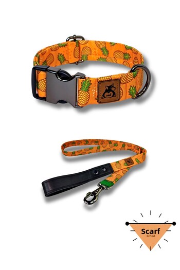 UTDpet Pine Dispatch Strap Set - Dog Collar and Walking, Scarf Gift
