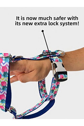 Jimi pet Pineapple Model Leash Set