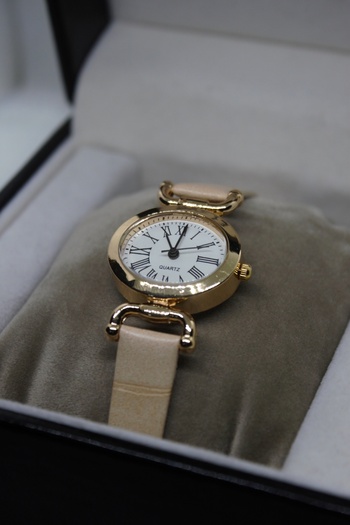 Ricardo Brand Roman Numeral Oval Case Minimal Snakeskin Wristwatch