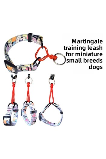 VSLT HANDMADE Martingale Small Breed Training CollarSmall breed training collarSmall race martingale collar