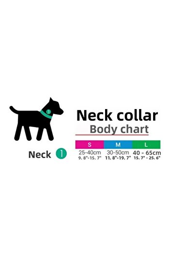 Tailpetz Cube m Dog Collar