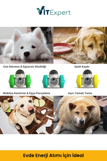 Vitexpert New Generation Dog Interactive Food Dispenser Play Ball Automatic Treat Food Shooter Robot with Food Storage