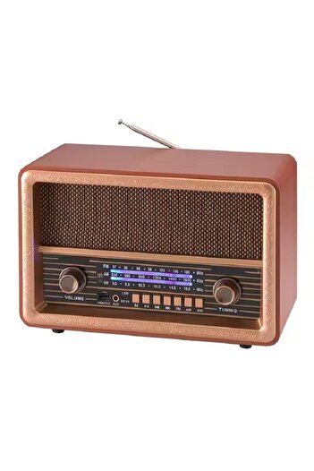 DLC All In One 8W Radio With Remote Radio USB Player /TWS /TF Player/BT Connect