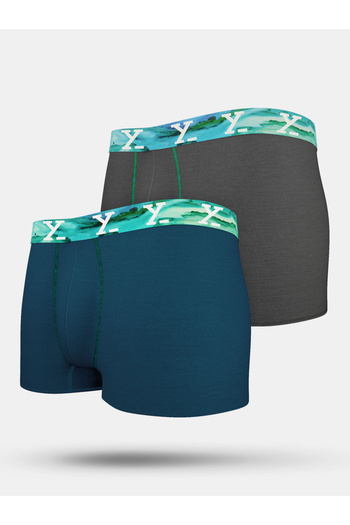 XYXX By Styli Pack of 2 - Printed Waistband Trunks