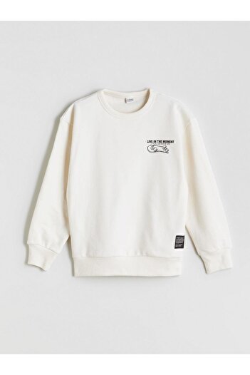 LC Waikiki Lcw Kids Crew Neck Boy Sweatshirt