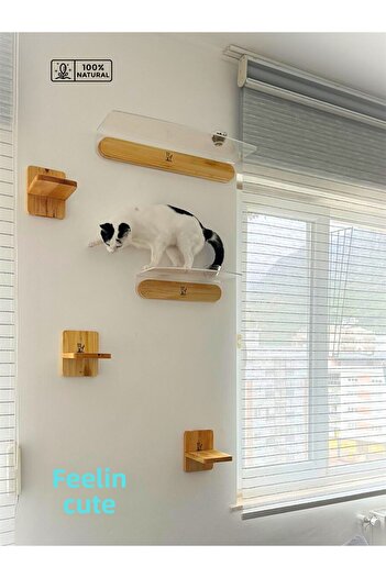 BUSHOP Cat House, Cat Track, Cat Bed, Cat Wall House, Cat Wall Shelf, Gorgeous 5-Piece Cat Track