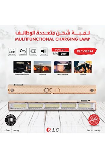 DLC Multifunctional charging lamp