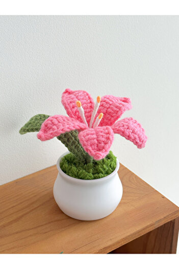 Choice Rose Red Flowers Hand-Knitted Lily Potted Delicate Crochet Woven Flowers Pot Mother's Day Gift