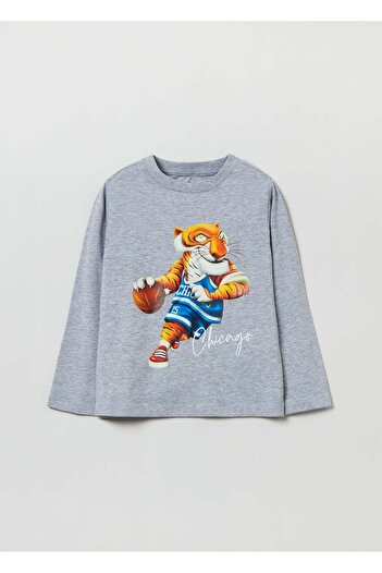 Ovs Long-Sleeved T-Shirt With Print