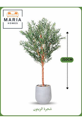 MARIA HOMES Artificial Olive Tree 210 cm – Large Indoor Decorative Tree with Gray Pot