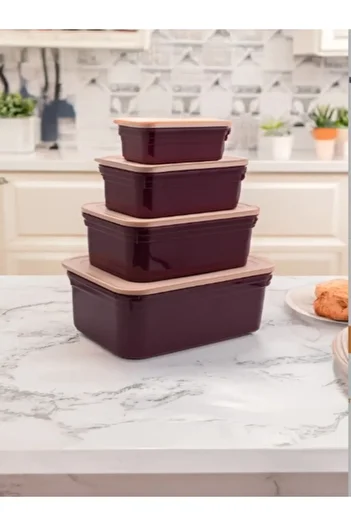 VİALEX Nevizade 4-Piece Storage Container with Lid (375-900-1700-3000 ml) - Claret Red