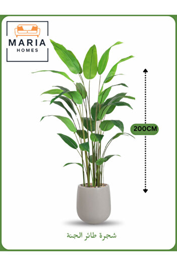 MARIA HOMES Artificial Bird of Paradise Tree 200 cm – Indoor Decorative Plant with GRAY Pot