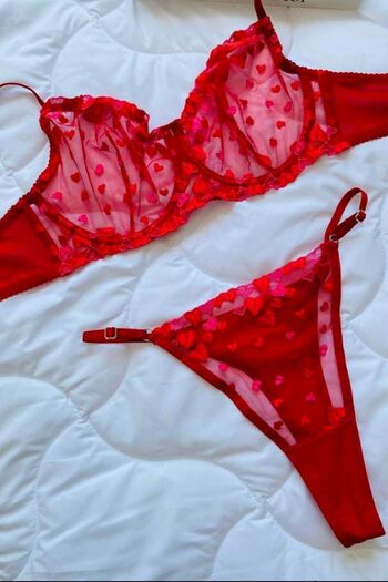 Moldina Plus Size Red Heart Brode Bra Set New Year Valentine's Day