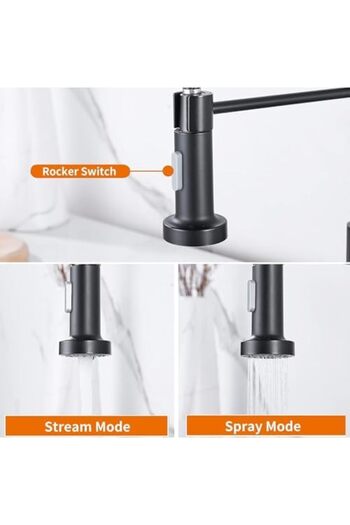 fitto Kitchen Faucet with Pull Out Sprayer, High Arc Goose Neck Design