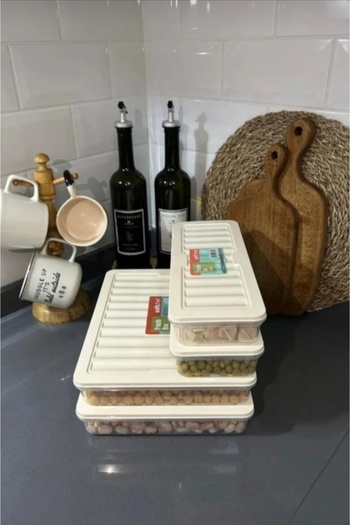 VİZYON Storage Container with Lid Freezer Container Refrigerator Organizer